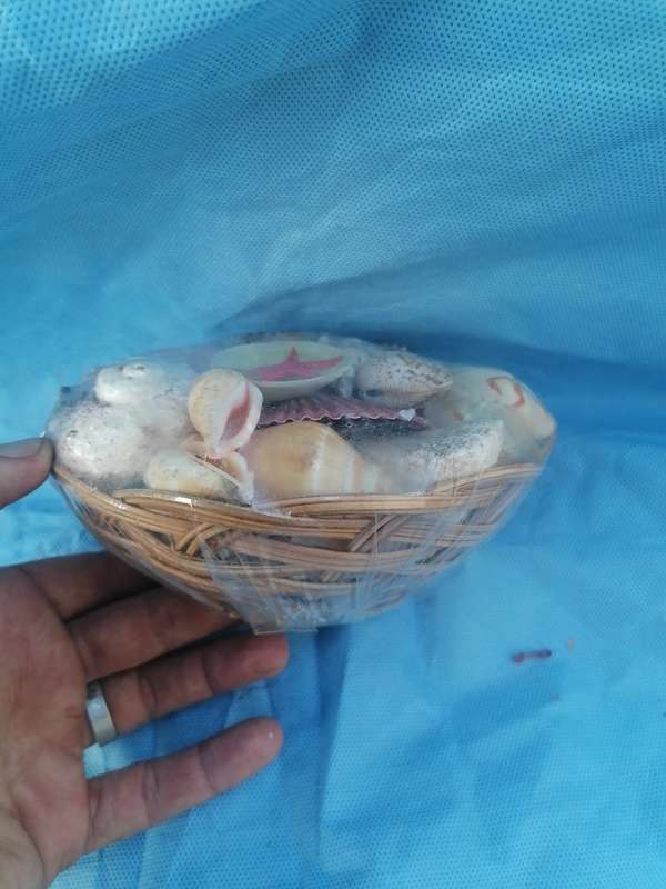Gift set small basket with mix shells