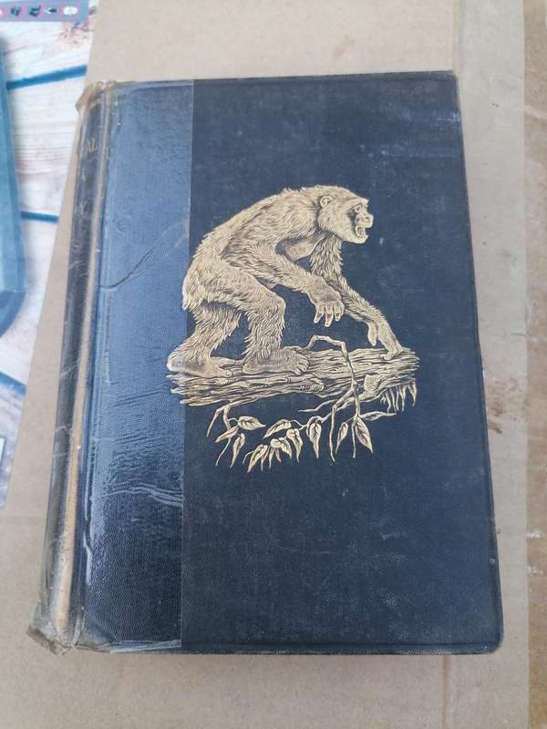 Equatorial Africa and country of the dwarfs by Du chaillu. 1892