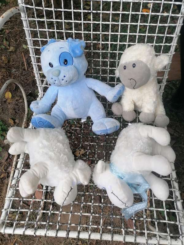 4 x teddies