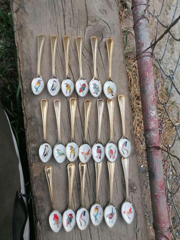 VINTAGE GOLD-PLATED STAINLESS STEEL & ENAMEL TEASPOONS OF SOUTH AFRICAN BIRDS 19