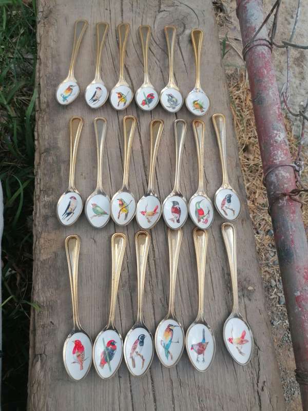 VINTAGE GOLD-PLATED STAINLESS STEEL & ENAMEL TEASPOONS OF SOUTH AFRICAN BIRDS 19