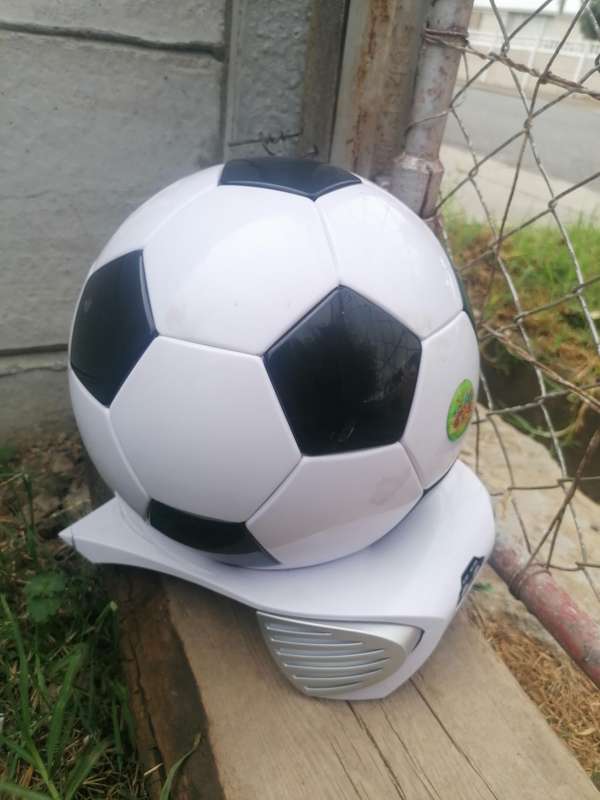 Cool soccer ball shaped car cooler box