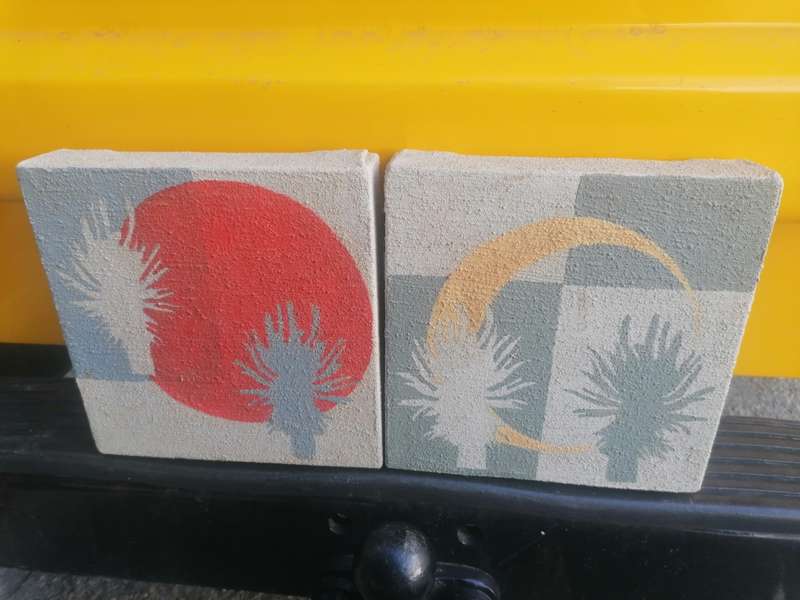2 canvas pictures