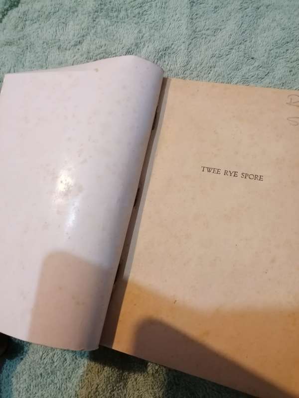 Twee rye spore - Swerwer-Speurder reeks - Gys van Graan