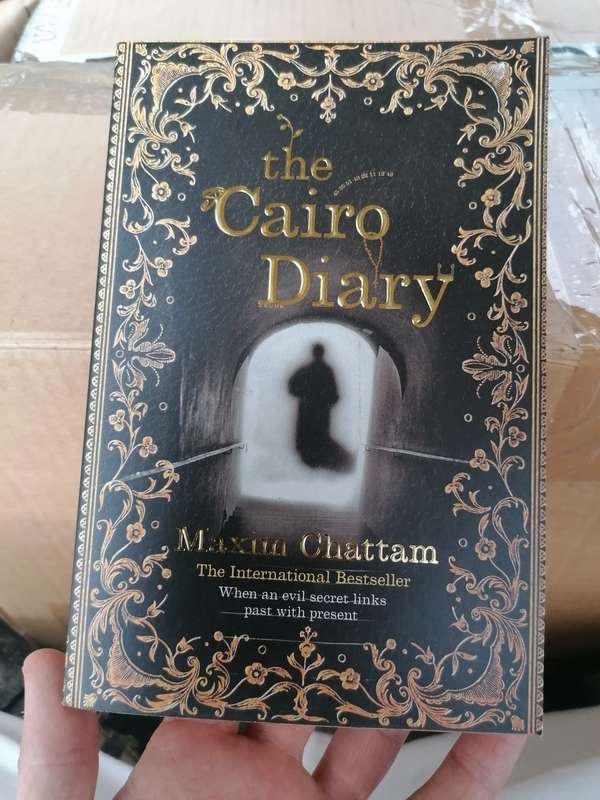The Cairo diary Book by Maxim Chattam