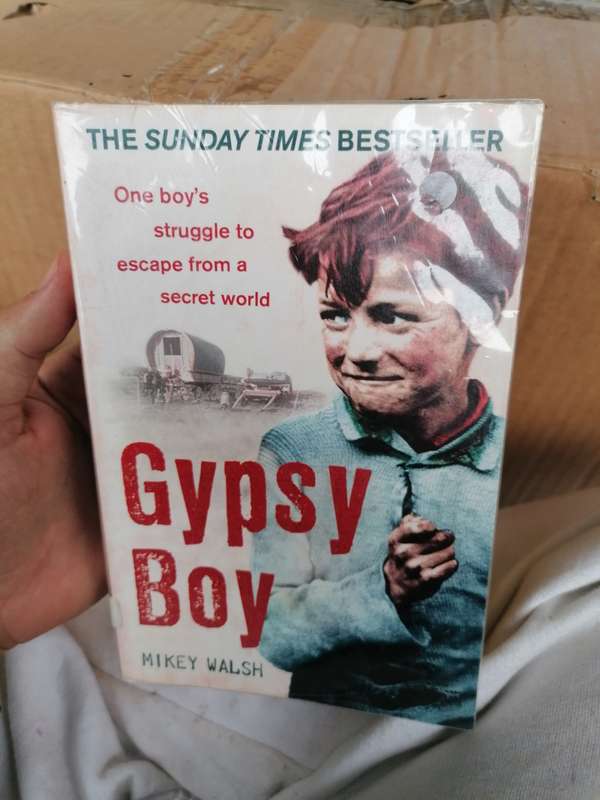 Gypsy Boy Book by Mikey Walsh