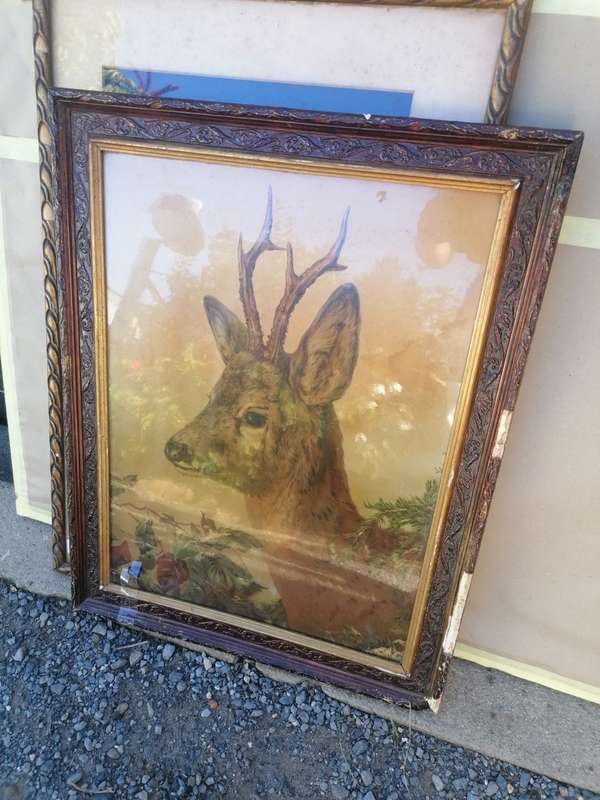 Antique dear print