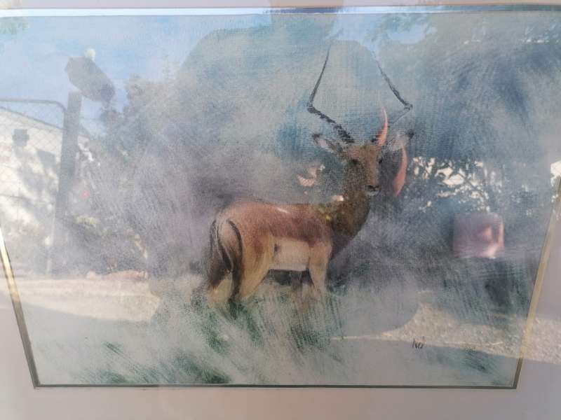 Lovely framed painting by Nell