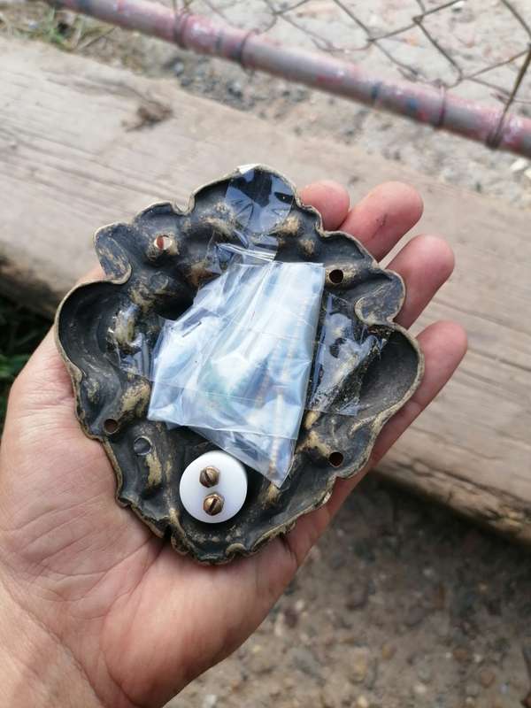 Brass lion head door bell