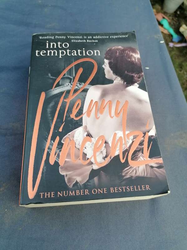 Penny vincenzi into temptation