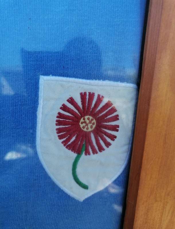Framed rugby Jersey Northern Transvaal