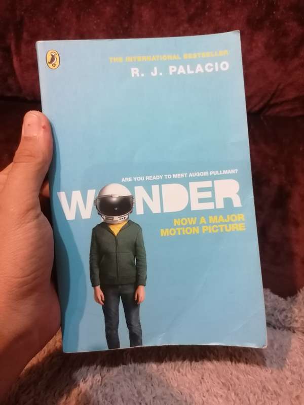 Wonder Novel by R. J. Palacio
