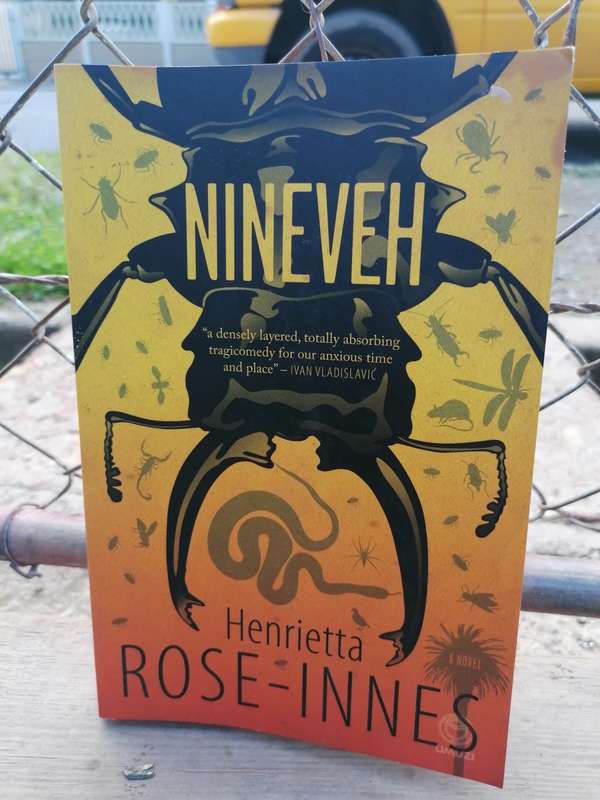 Nineveh Book by Henrietta Rose-Innes