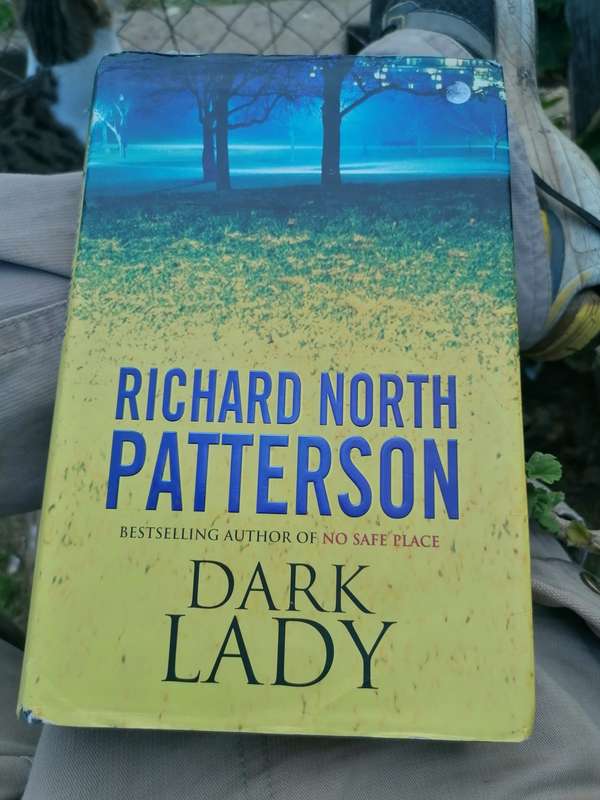 Dark Lady Novel by Richard North Patterson