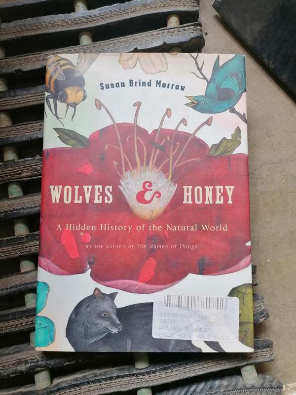 Wolves and honey Book by Susan Brind Morrow