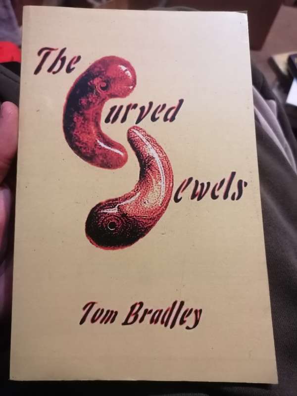 The Curved Jewels by Tom Bradley