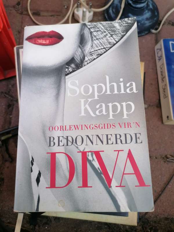 Oorlewingsgids vir n bedonnerde diva