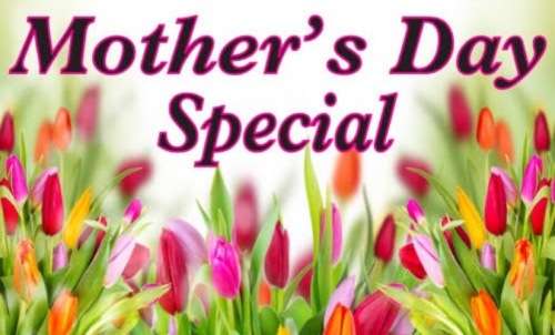 **Mothers Day Specials : Stunning 3 piece Swiss roll kit**