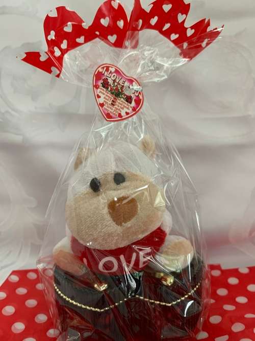 **Valentines Day Sale : Gorgeous Hug Me Teddy and Jewellry box Gift combo**