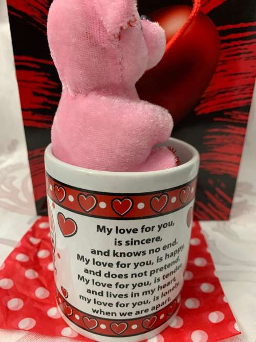 **Valentines Sale : Gorgeous Double sided printed Coffee Mug and Teddy Gift combo**
