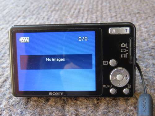 Sony Cyber-shot DCS-W350 camera.