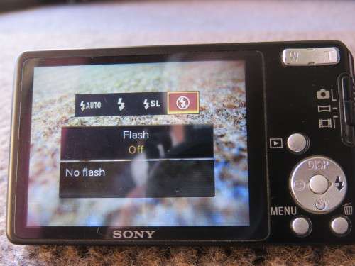 Sony Cyber-shot DCS-W350 camera.