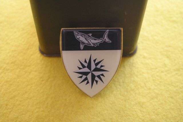 Recce Shark Emblem/Compass Rose badge(Fantasy Flash)