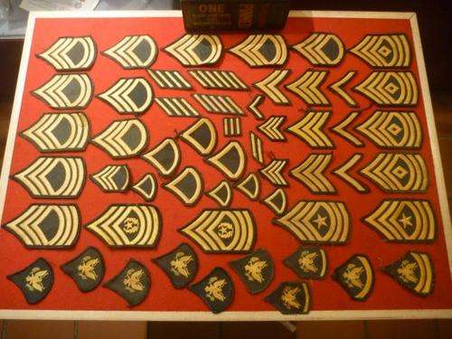 LOT of 54 Assorted Marine Ranks and Insignia