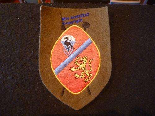 Ciskei Parachute Training School ~ Stepout Dress Arm Patch