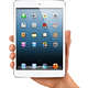 iPad Mini 64Gb Wi-Fi + 3/4G