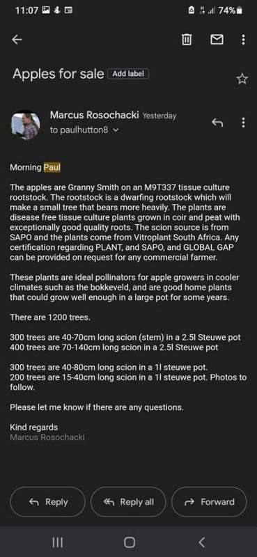 Apple trees