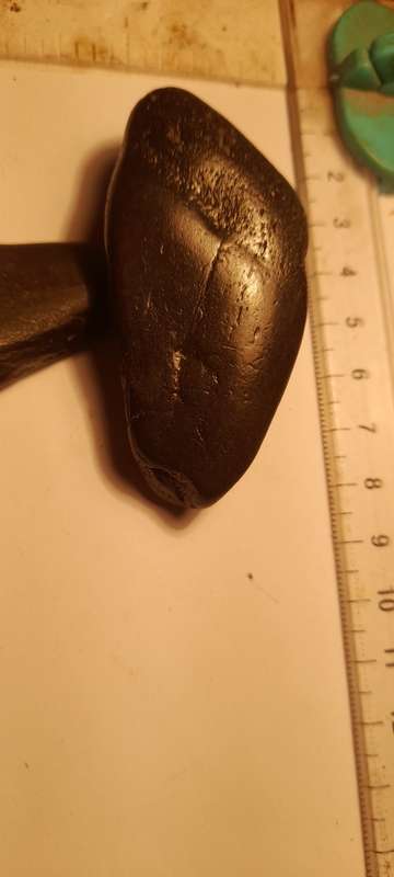 PREHISTORIC FOSSIL LOT