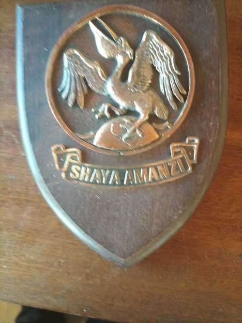 SANDF NAVY