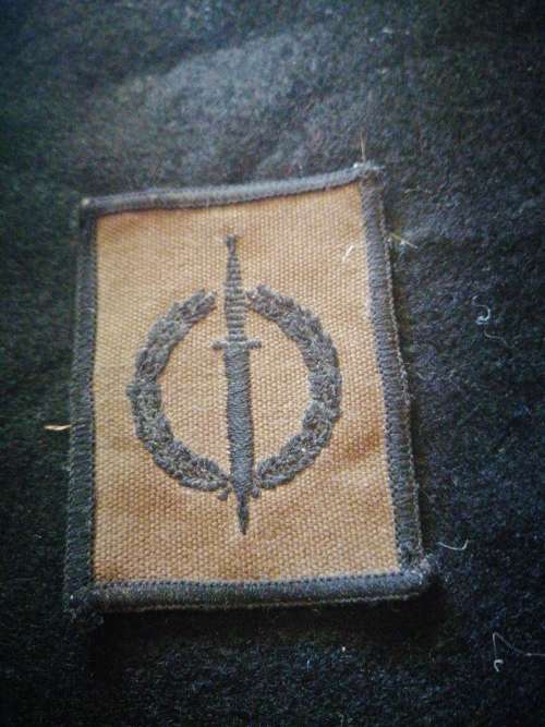 Recce operator nutria badge
