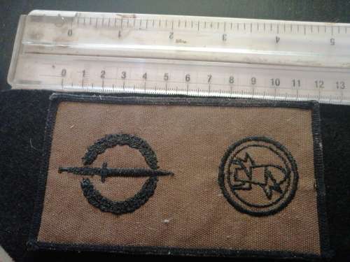 Recce operator badge nutria