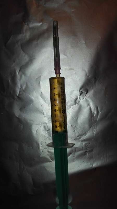 Mushroom Liquid Culture 10ml syringe - XMAS Special R250