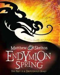 MEDIUM SOFT COVER - MATTHEW SKELTON - ENDYMION SPRING (CONDITION AS NEW)