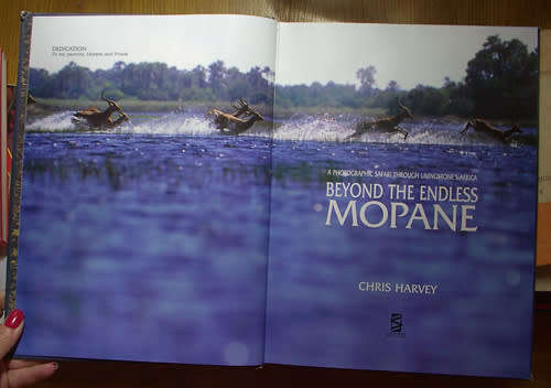HARD COVER  -  BEYOND THE ENDLESS MOPANE - CHRIS HARVEY.  (NO DUST COVER)