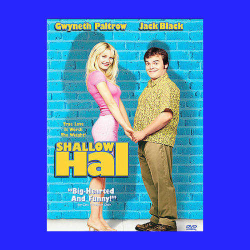 DVD - SHALLOW HAL -  REGION FREE