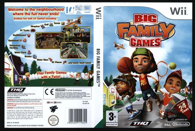 Nintendo Wii Game - Big Family Games (PAL)