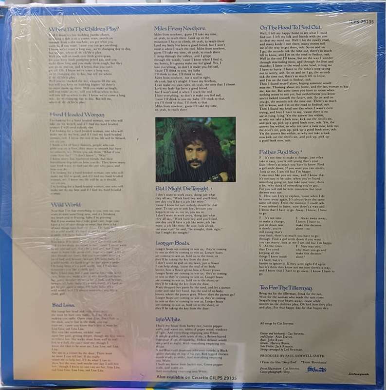 VINYL LP RECORD  - Cat Stevens Tea For The Tillerman