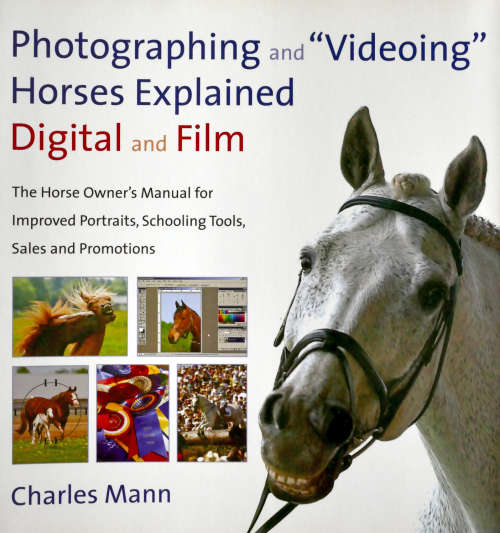 Photographing and Videoing Horses Explained