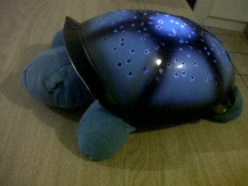 Turtle Night Sky Constellation  (Blue)
