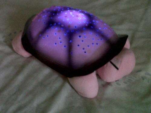 Turtle Night Sky Constellation  (Pink)