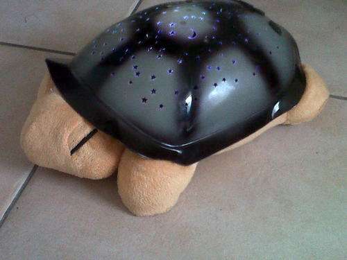 Turtle Night Sky Constellation  (Beige)