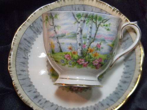 Very Rare late 1930's Royal Albert " Silver Birch " Large Countess Tea Trio - 3 Trio's Available