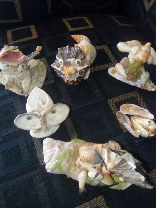 6 SHELL ORNAMENTS