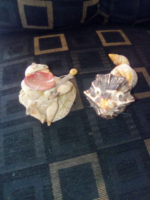 6 SHELL ORNAMENTS