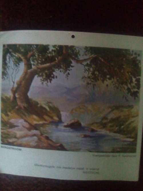 photo bergstroom