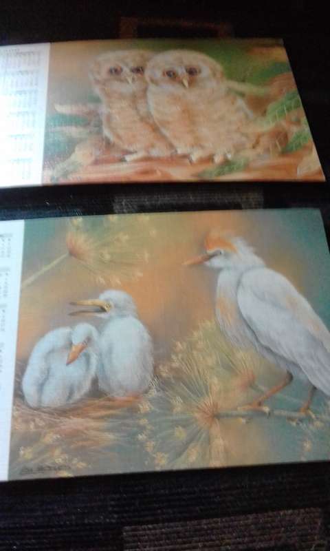 6 WILDLIFE POSTCARDS